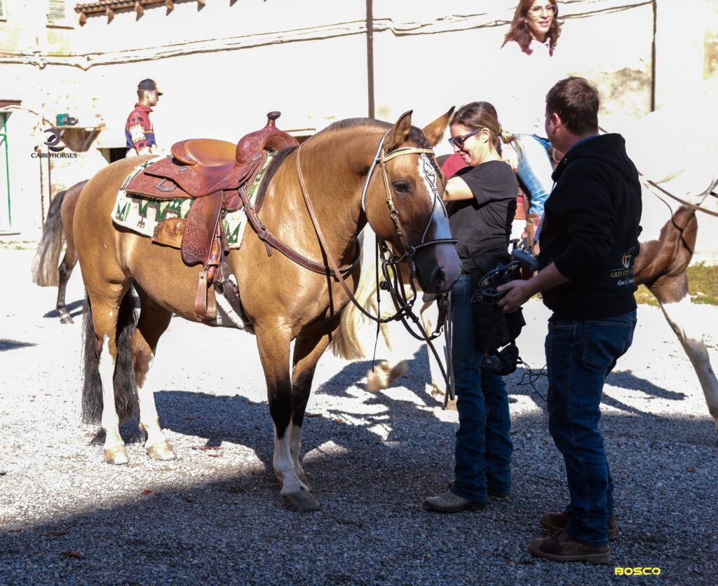Scuderia Cairo Horses a Formigaro