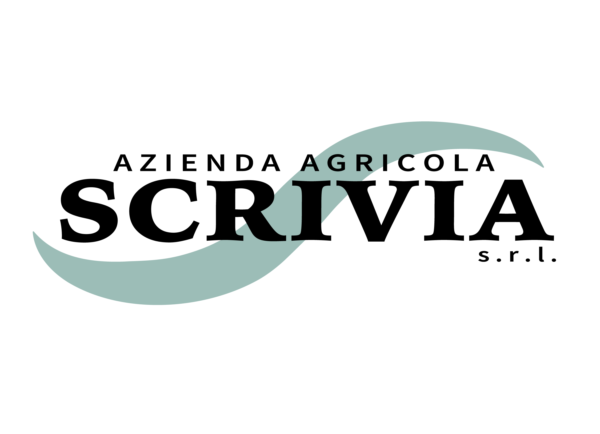 LOGO SCRIVIA