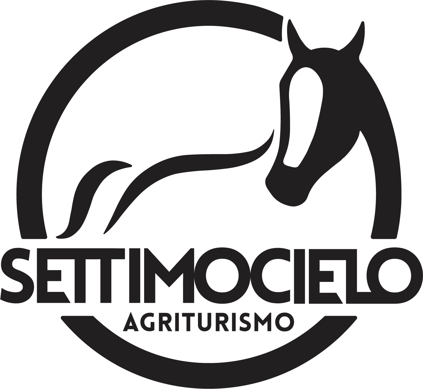 LOGO SETTIMOCIELO