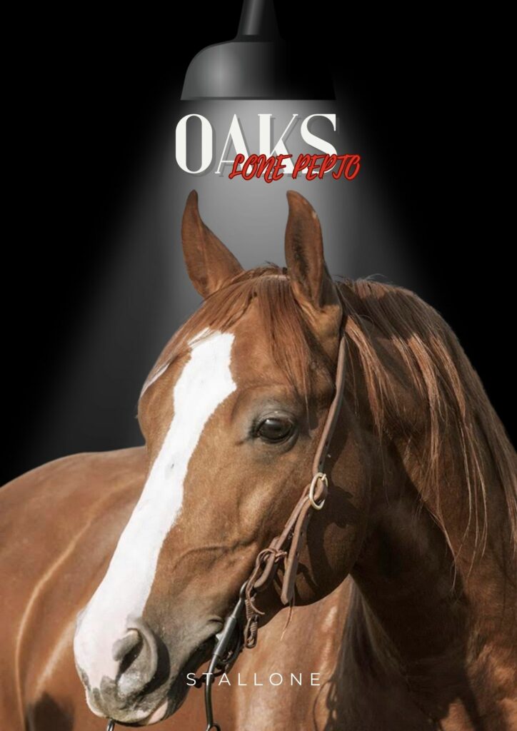 Scuderia Cairo Horses a Formigaro